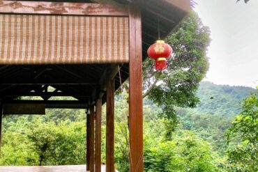 Phytothérapie, herboristerie, aromathérapie et olfactothérapie